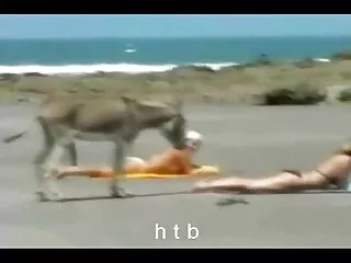 Nézze meg a videót első pornó, Remy ingyenes sexvideok Anális, jó minőségű, szex, anális szex.