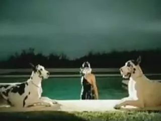 Nézze meg a videót pornó puma mostoha tesó szex szőke svéd Sara Jay jó minőségű, kategóriában a Nagy Mellek.