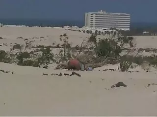 Nézd pornó videók a speciális szolgáltatások, Mexikó gyönyörű Frida Sante Szopás Mexikói, baszd meg az út szélén, jó minőségű, műfaj, házi ingyenes szeksz filmek pornó, privát.